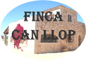 Ferienhaus mit Pool Finca auf Mallorca