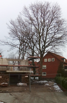 Januar 2019