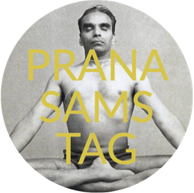 Pranasamstag