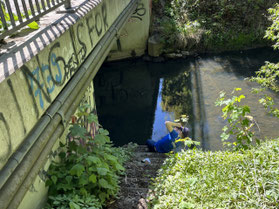 Wer lebt unter der Brücke? (Fotos: M. Fuchs)