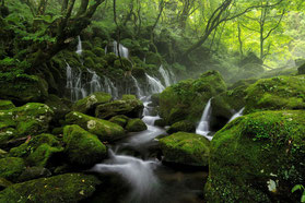 Le schéma du cycle de l'eau passe par les forêts