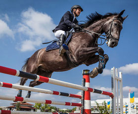 dictée sur le sport cm2 équitation
