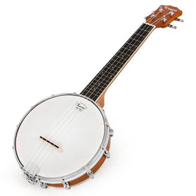 séquence les familles d'instruments cycle 3 banjo