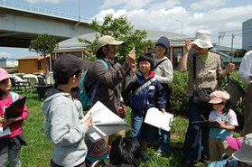 ▲多摩川で野草の観察　　　