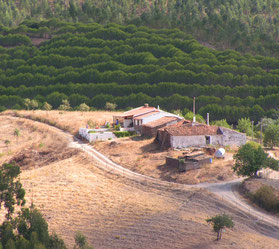 portugiesisches Bauernhaus