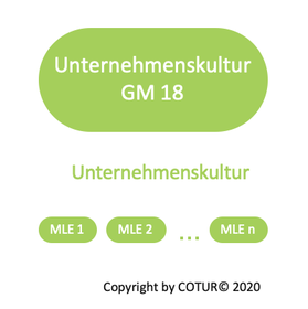 Leadershape by COTUR® - Unternehmenskultur -  Grundlagen Management