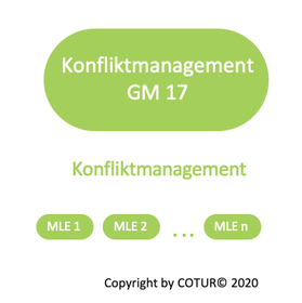 Leadershape by COTUR® - Konfliktmanagement -  Grundlagen Management