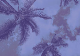 atemreise atemworkshop atem atemarbeit workshop holotrope atemreise holotropes atemseminar holotroper atemworkshop atemsession breathwork new birth breathing atemprozess selbsterfahrung heldenseminare gestalt gestalttherapie leipzig liane adam