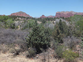 Sedona-Nationaal-park-rode-stenen-rotsen-Verenigde-Staten