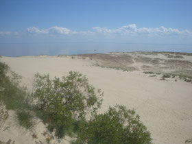 Curonian-Split-natuurpark-duinen-Litouwen
