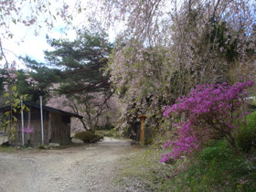Magome-Tsumago-pad-wandelen-bos-Japan