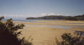 Abel-Tasman-nationaal-park-strand-Nieuw-Zeeland