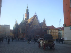 Wroclaw-kerk-kathedraal-plein-Polen