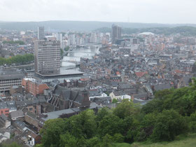 Luik-uitzicht-Maas-rivier-België