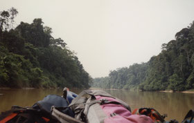 Taman-Negara-nationaal-park-jungle-rivier-bos-rugzakken-Maleisië