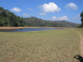 Periya-nationaal-park-rivier-India