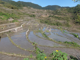 Bontoc-Banaue-rijstterras-Filipijnen