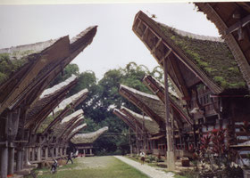 Tana-Toraja-Rantepao-Sulawesi-Indonesië-huizen-traditioneel