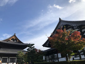 東福寺（2019．11）