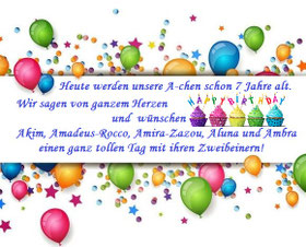 Heute werden unsere A-chen schon 7 Jahre alt.