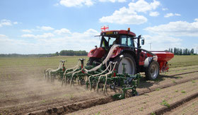 Garford Hackgeräte bei Medl GmbH - Landtechnik Großhandel