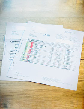 Darmsanierung, Darmcheck Darmstadt