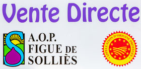 La figue de Solliès pont
