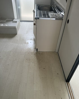 富山市の築古住宅で上階の排水が1階の床から逆流して溢れている様子