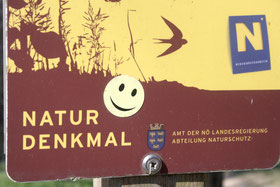 Erlaufschlucht in Purgstall ist ein Naturdenkmal