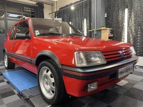 Peugeot 205 GTI (14 photos)