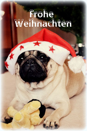 Frohe Weihnachten