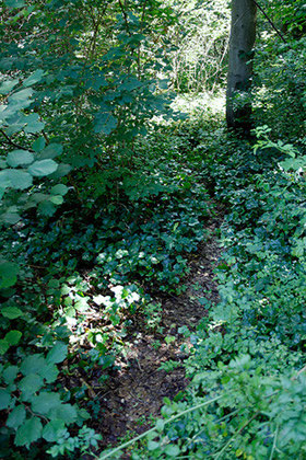 Baumbestattung, Waldfriedhof München