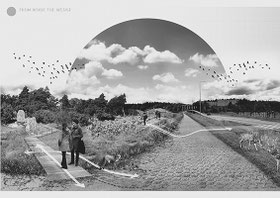 BORDERLAND HABITATS, JÄRVA FÄLTET
