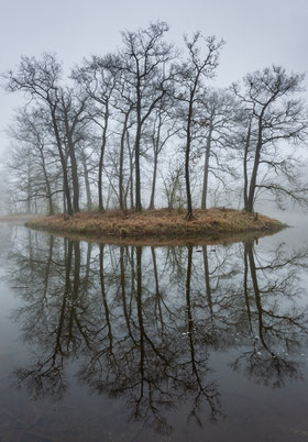 Insel im Nebel