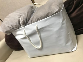 小牧 鍼灸 はり 治療 美容鍼 腰痛 坐骨神経痛 自律神経 頭痛 めまい 吐き気 過敏性腸症候群 下痢 便秘 食欲不振