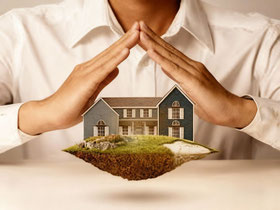 Géobiologue - le pélerin du bien-être 