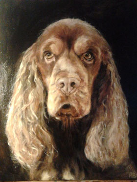 Cockerspaniel. Öl auf Leinwand. 2011