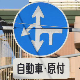 異形矢印標識(指定方向外進行禁止)。新潟県新潟市にある。