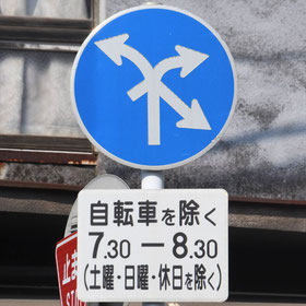 異形矢印標識(指定方向外進行禁止)。広島県呉市にある。
