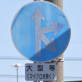 異形矢印標識(指定方向外進行禁止)。静岡県浜松市にある。