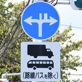 異形矢印標識(指定方向外進行禁止)。神奈川県伊勢原市にある。
