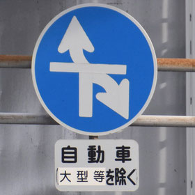 異形矢印標識(指定方向外進行禁止)。愛知県名古屋市にある。