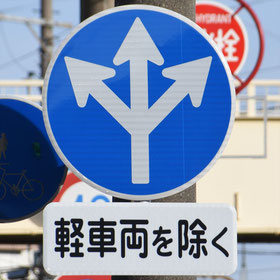 異形矢印標識(指定方向外進行禁止)。静岡県静岡市葵区にある。