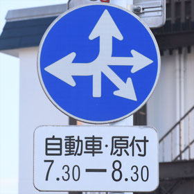 異形矢印標識(指定方向外進行禁止)。熊本県熊本市にある。