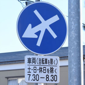 異形矢印標識(指定方向外進行禁止)。新潟県新潟市にある。