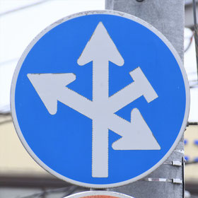 異形矢印標識(指定方向外進行禁止)。茨城県日立市にある。