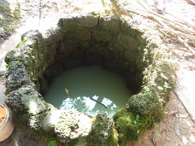 Exemple d'un puits local dont l'eau insalubre est consommée par la population.