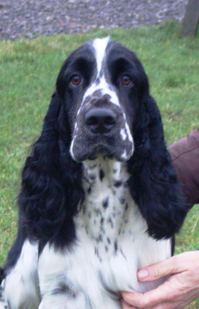 Head study of Calvdale Night Court, Photo: Nicola Calvert