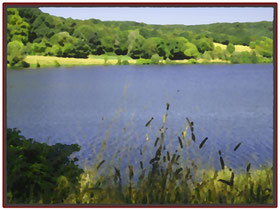 Natur im Ruhrgebiet
