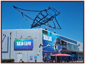 Sealife Standorte Deutschland